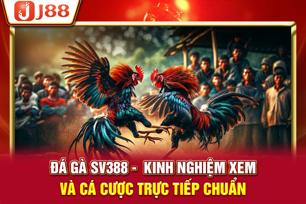 Đá Gà SV388 - Kinh Nghiệm Xem Và Cá Cược Trực Tiếp Chuẩn