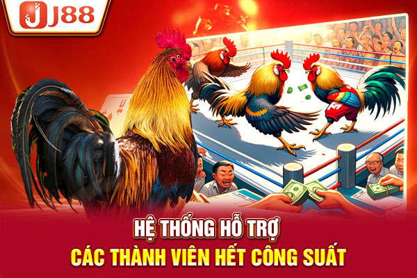 Hệ thống hỗ trợ các thành viên hết công suất