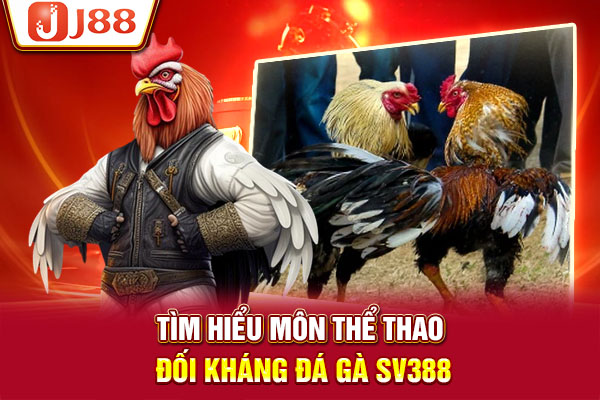 Tìm hiểu môn thể thao đối kháng đá gà SV388