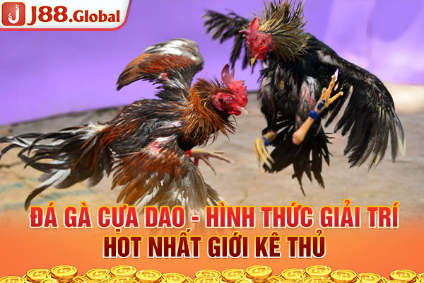 Đá Gà Cựa Dao - Hình Thức Giải Trí Hot Nhất Giới Kê Thủ 2025