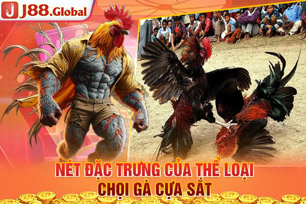 Nét đặc trưng của thể loại chọi gà cựa sắt