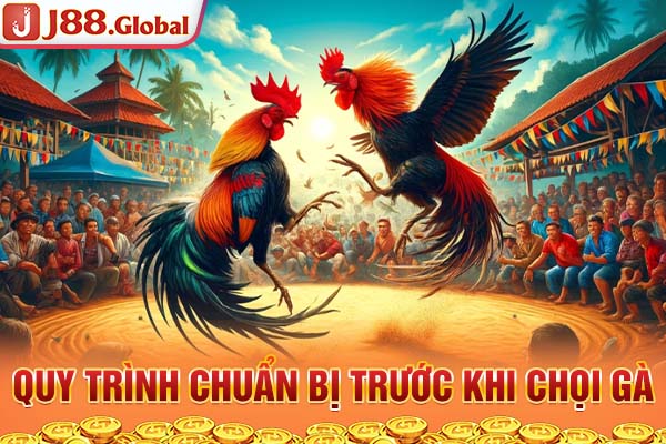 Quy trình chuẩn bị trước khi chọi gà